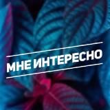 Конья. Мне интересно.