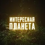 Интересная Панета