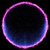 🖤 | every day | 24/7❤️