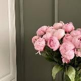 ϙᴜᴇᴇɴᴛɪᴀ