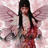 𝗔𝗥𝗖𝗔𝗡𝗘 переехали