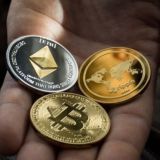 Coin Shill