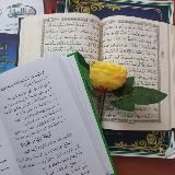 العربية و التزكرة 🖤