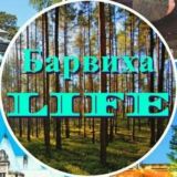 Чат Барвиха Life