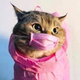 Средства и изделия для индивидуальной защиты