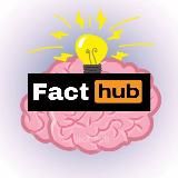 Fact Hub