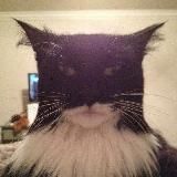 I'm Catman