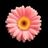 Чат мастеров — candlescience.ru