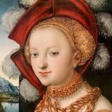 субтильная суперфлю | егэ рус/лит