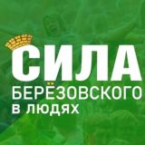 Берёзовский. Сила_БГО (Свердловская область)