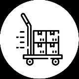 Наличие | ЖЕНСКОЕ