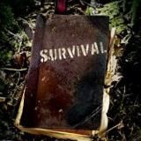 Выживание и туризм