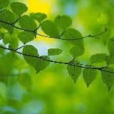 🎙ВДА "Весна". Спикерские ☀️🌿💐