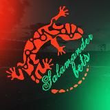 СПОРТ РАДАР