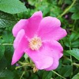 Красота+Здоровье👌