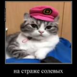 Солевой Клуб