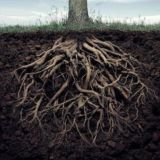 Подноготная. Черные списки Дизайна.