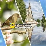 Грайворонский муниципальный округ