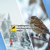 Грайворонский муниципальный округ