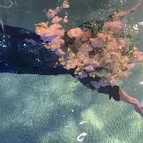 Well-reading club by Masha Grudina