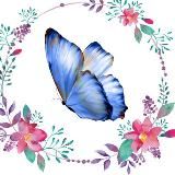 🦋 Inspiration 🦋