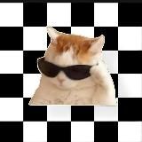 картинки для тик тока