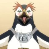 椰树 37 年的第 336 天也是玄学的一天