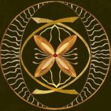 АЛХИМИЯ ЖИЗНИ / КАРТИНЫ КАЛИТЫ