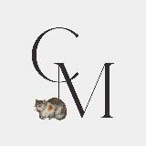 Странный у вас музей