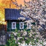 Хочу в деревню ❤️