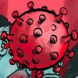 Коронавирус News