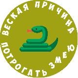 !!ЦП НА @vp_pz