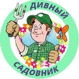 Дивный садовник