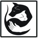 Потеряшки Краснодар🐶🐱