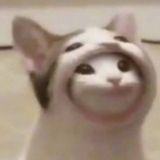 👽ᴄʜᴀᴛ ꜱᴏꜰᴛ ᴄʀᴇɪᴛ 👽