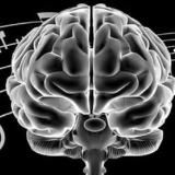 Тактика власти