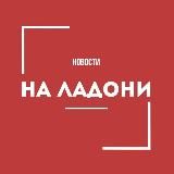 Новости на ладони | СМИ | ЧП | ПУТИН | ПРЯМАЯ | ЛИНИЯ | ВОЙНА | РОССИЯ | | ТОПОР | ТРУХА | MASH | МЕДУЗА | ПРЯМАЯ ЛИНИЯ | GAZA