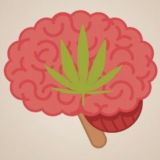 Объективно про Мэри