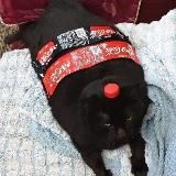 КОНКУРСЫ!!!!