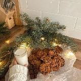 ✨биᴄᴇᴩᴏᴨᴧиᴛᴇние✨