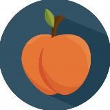 ТАЙНЫЙ АРХИВ 🔐