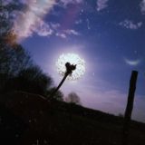 целую, пока