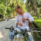 Птица на проводе