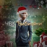 ЧВК "Бибизяни"