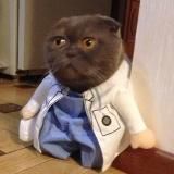 В поликлинике 🩺 | Полина Твилле