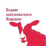 Будни московского барана