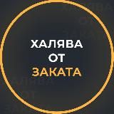 FREE ENTER | Промокоды и раздачи