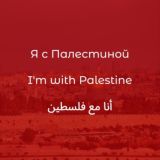 БЕЛЫЙ КРОЛИК | Чат