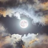 Universum Inside🇪🇪🇩🇪