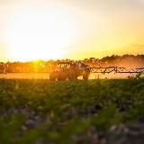 Сельхоз Угодник | Ретинский Виктор